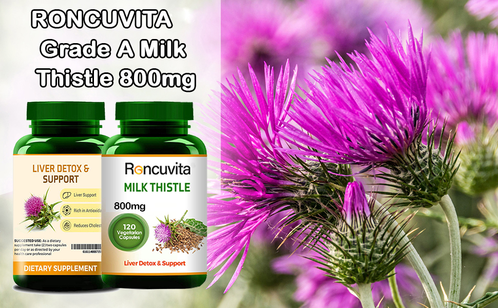 Milk Thistle Benefits – The Liver Friendly Herb